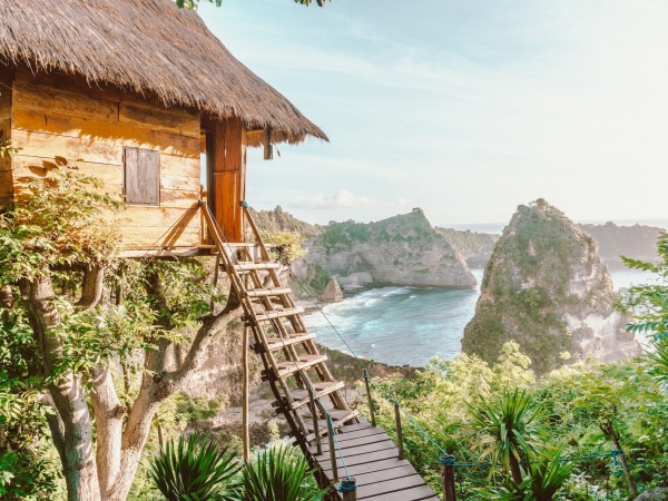 Jibhi tree house